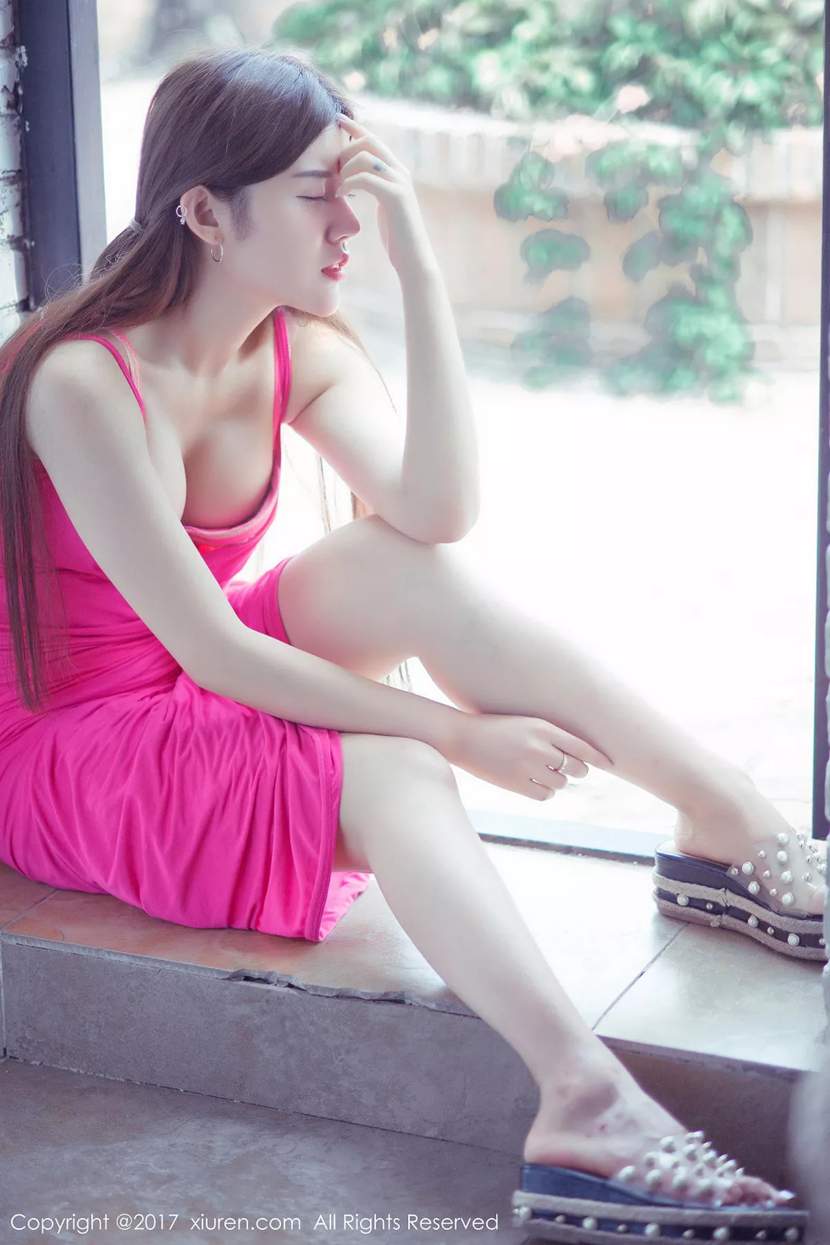 兔子写真