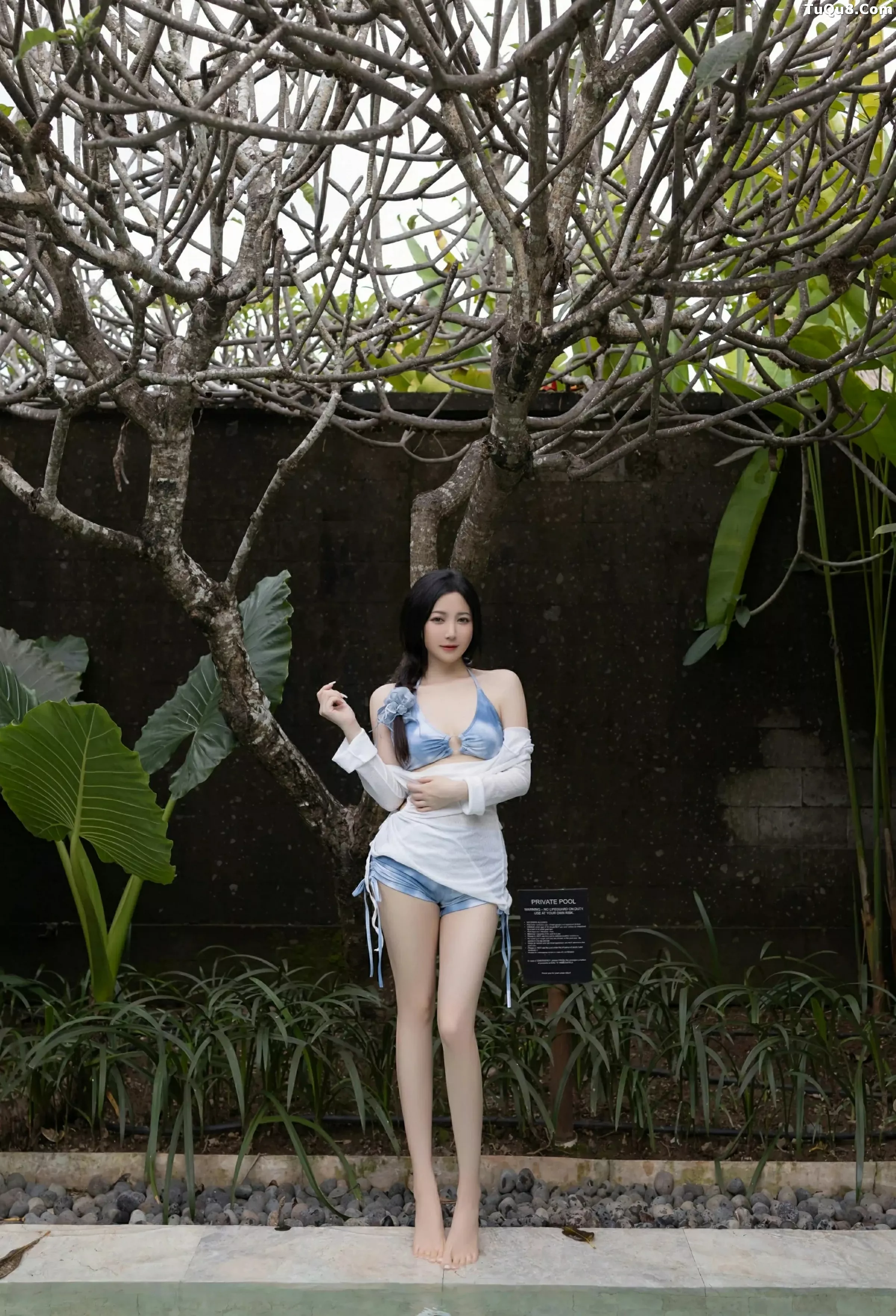 鱼子酱写真