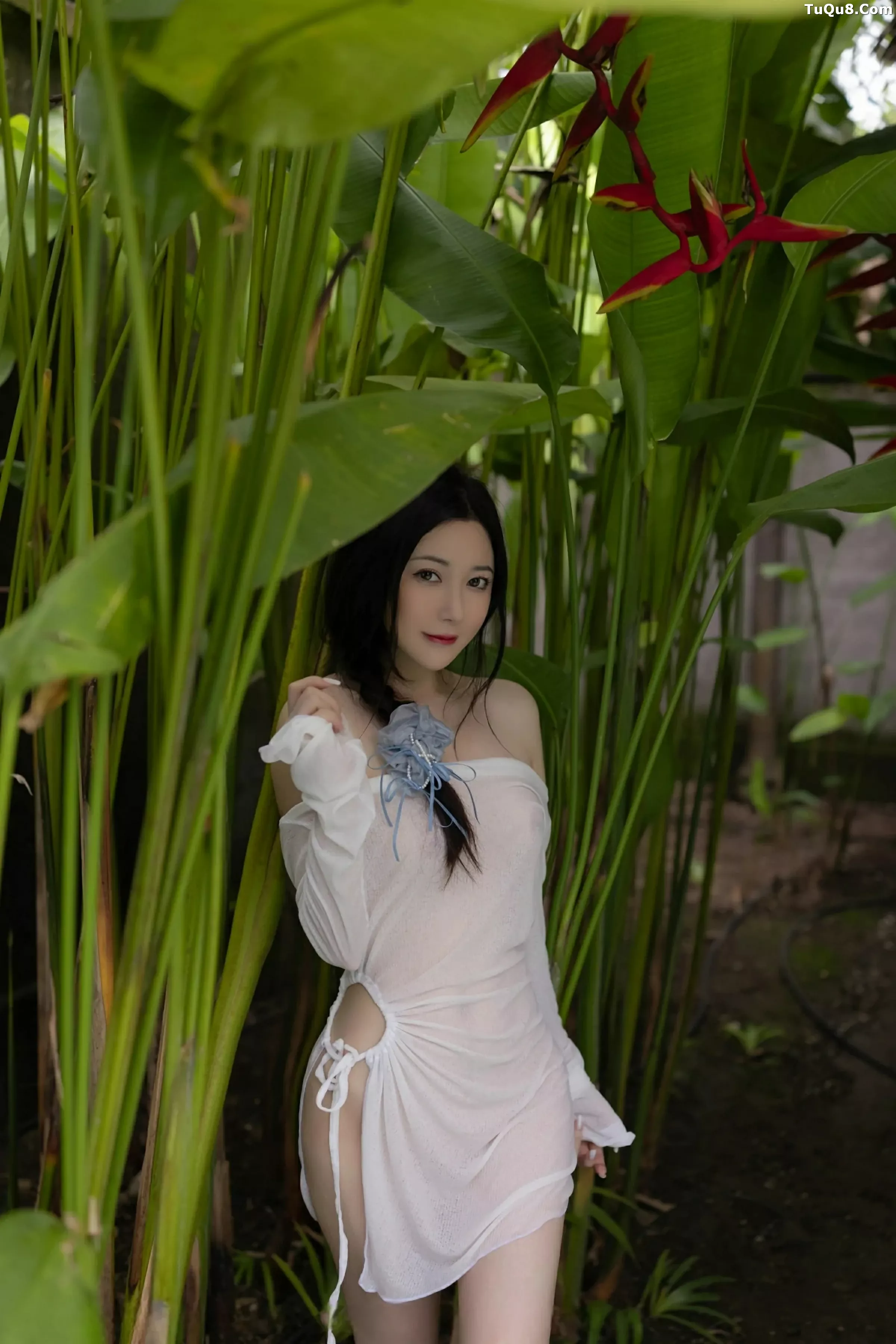 鱼子酱写真