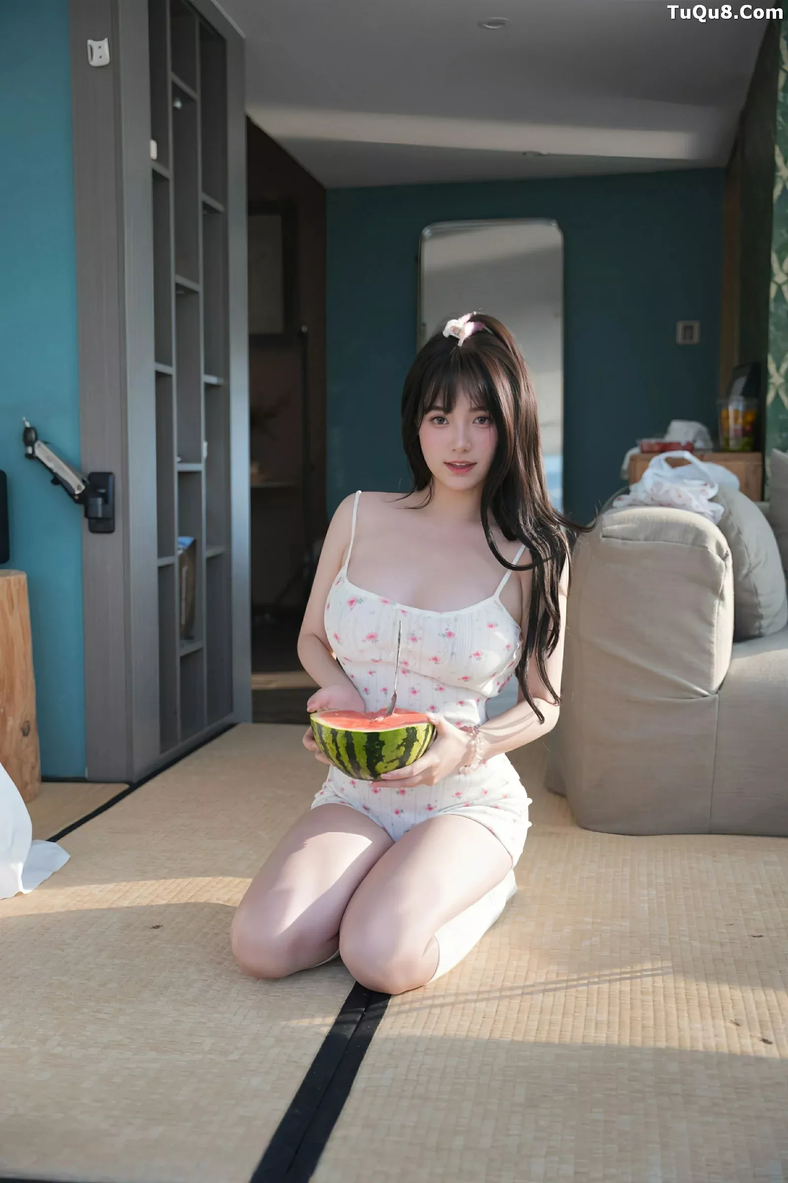 软情写真