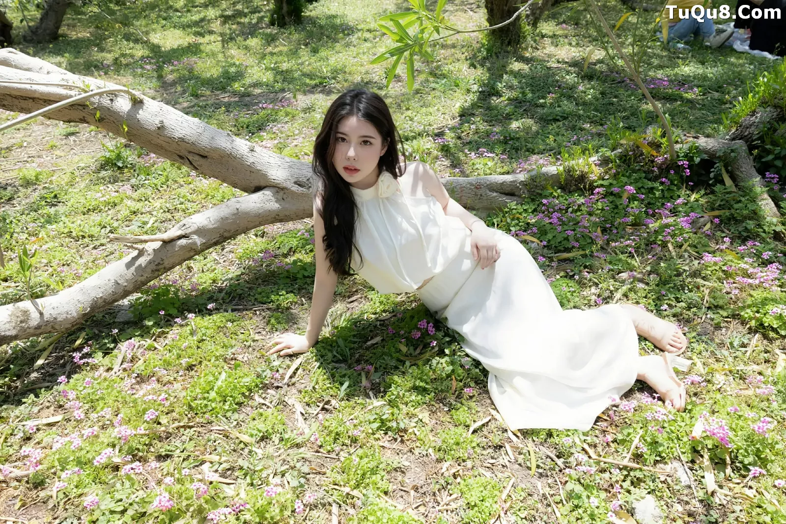 模特合集写真